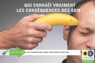 banane-OGM
