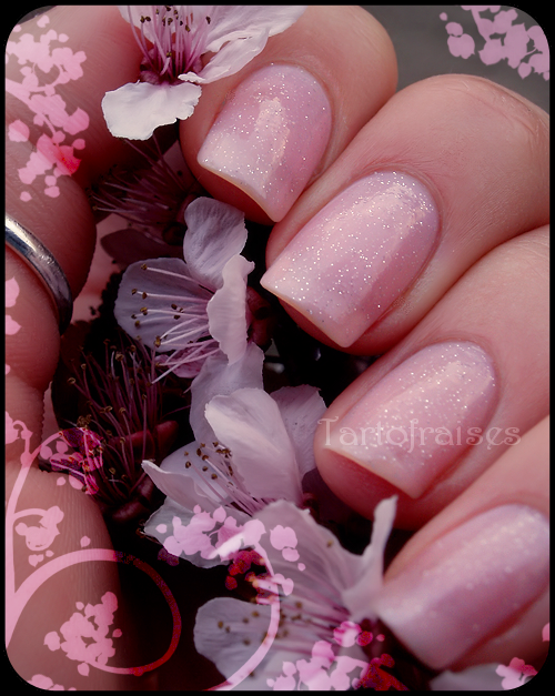 rose lm 003