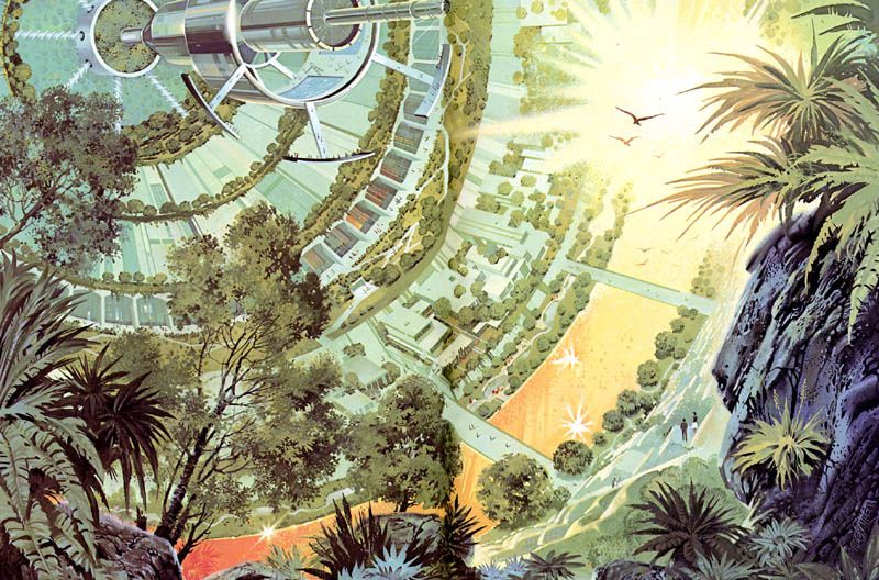 sunflow1.jpg