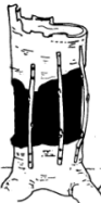 null