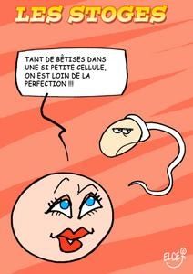 rencontre sperm et ovule