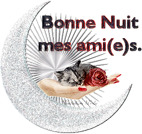 bonne-nuit-mes-amis.gif