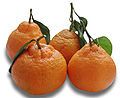 mandarines