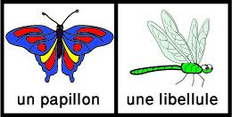 Domino insectes2