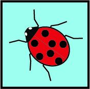 Memory insectes1