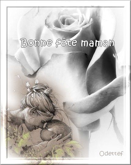 bonne-fete-maman-26052013.jpg