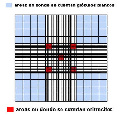 Camara de Neubauer - El blog de Uriel