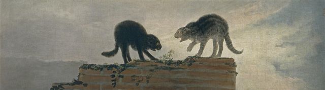 Goya Combat de chats