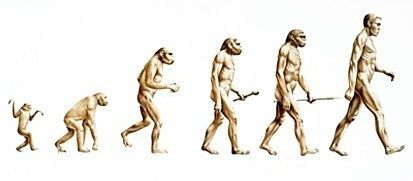 evolution-linear.jpg