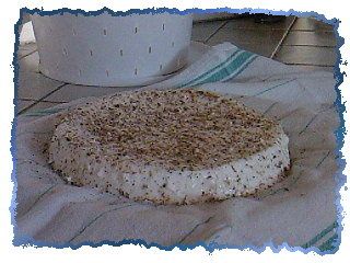 SP_A0458.jpg