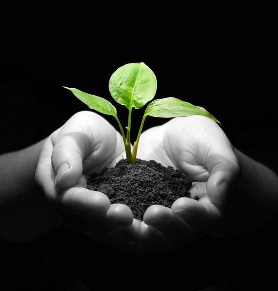 shutterstock_21717697.jpg