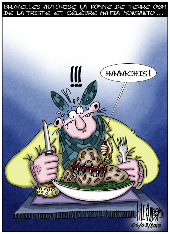 amflora monsanto