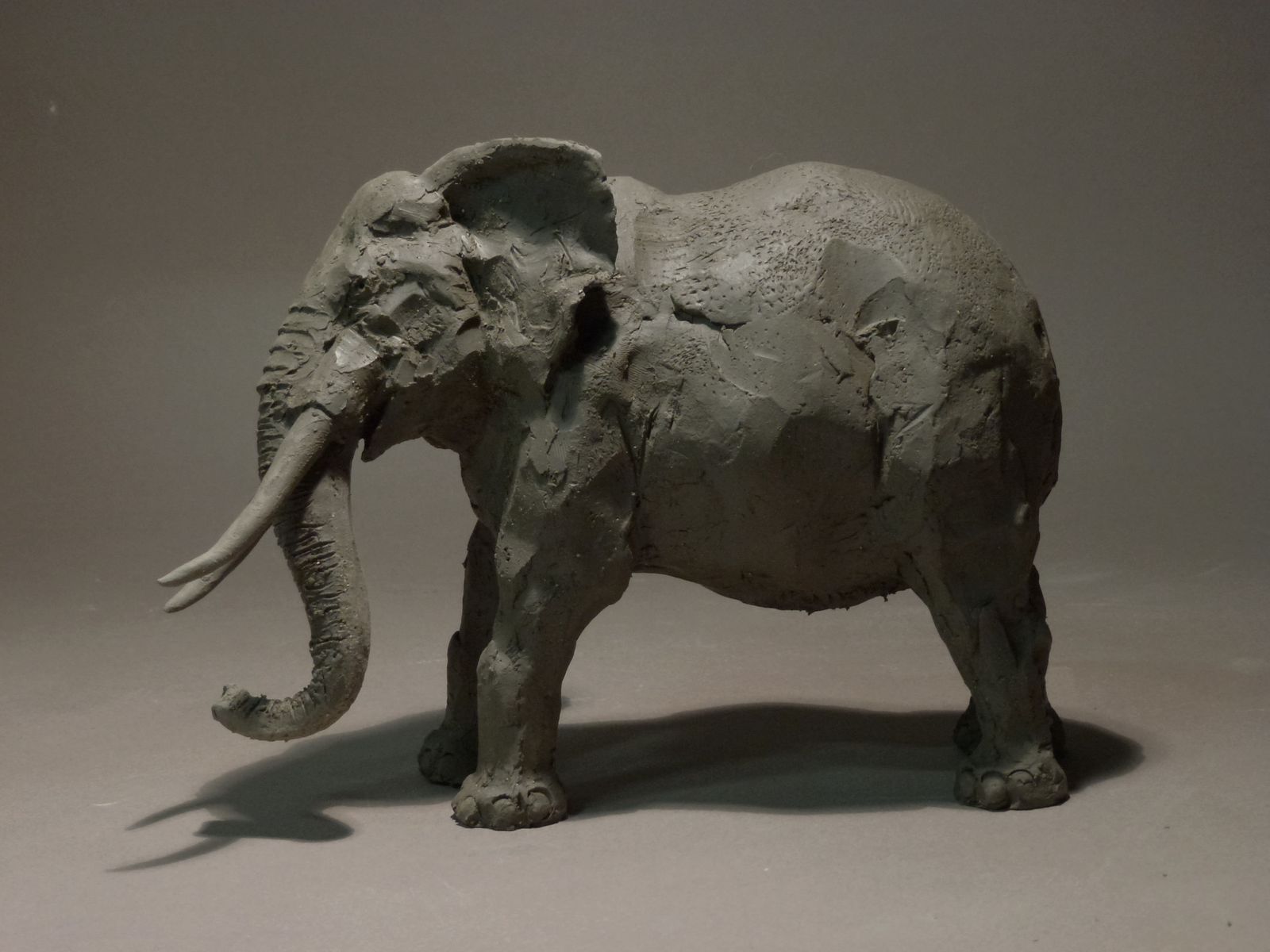 Sculpture éléphant en terre - erick.aubry.sculpture