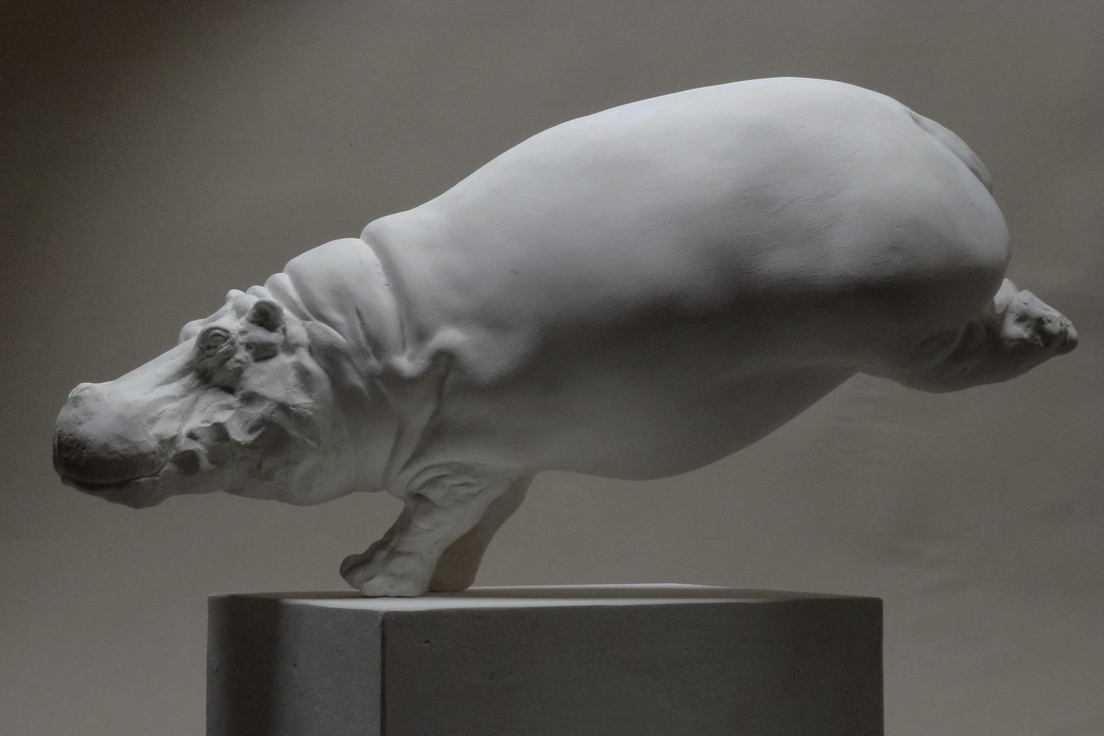 Hippopotame sculpture ( l'immersion ) - erick.aubry.sculpture