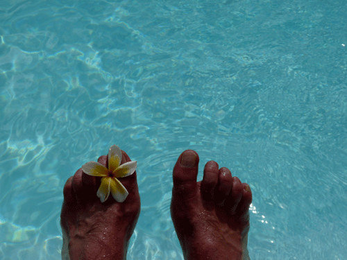 PIEDS-DANS-l-eau.gif