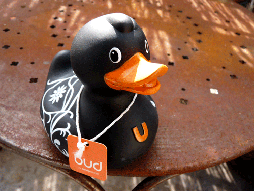 canard.gif