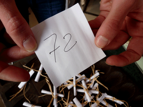 tirage-72.gif
