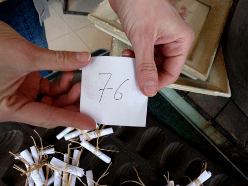 tirage-76-copie-1.gif