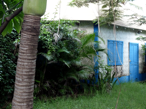 case-creole-la-reunion CASE-creole-la reunion