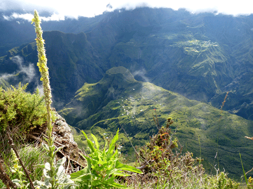 piton-maido-mafate-3-500PX.gif