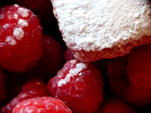 FRAMBOISES-BISCUITSROSES.jpg