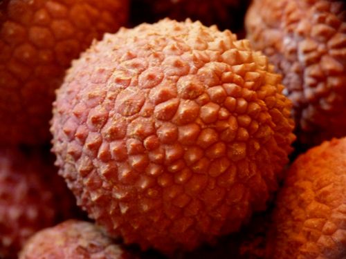 LITCHIS.jpg