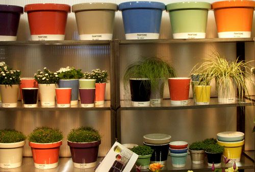 tendance-deco-10.jpg