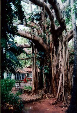 GuestHouseAuroville.jpg