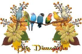 bon dimanche oiseaux