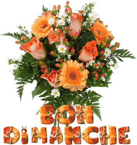 bon-dimanche-1.gif