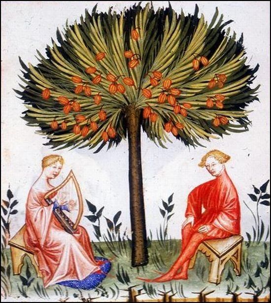 codex vindobonensis