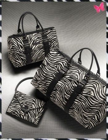 collection zebre