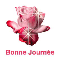 bonjour008bz3