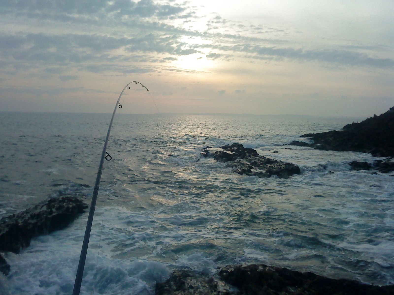 Le bar au leurre les incontournables - Le blog de Breizh pêche 29