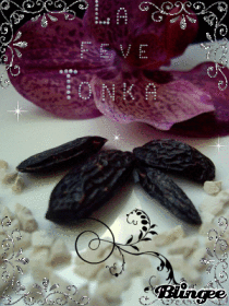 Tonka