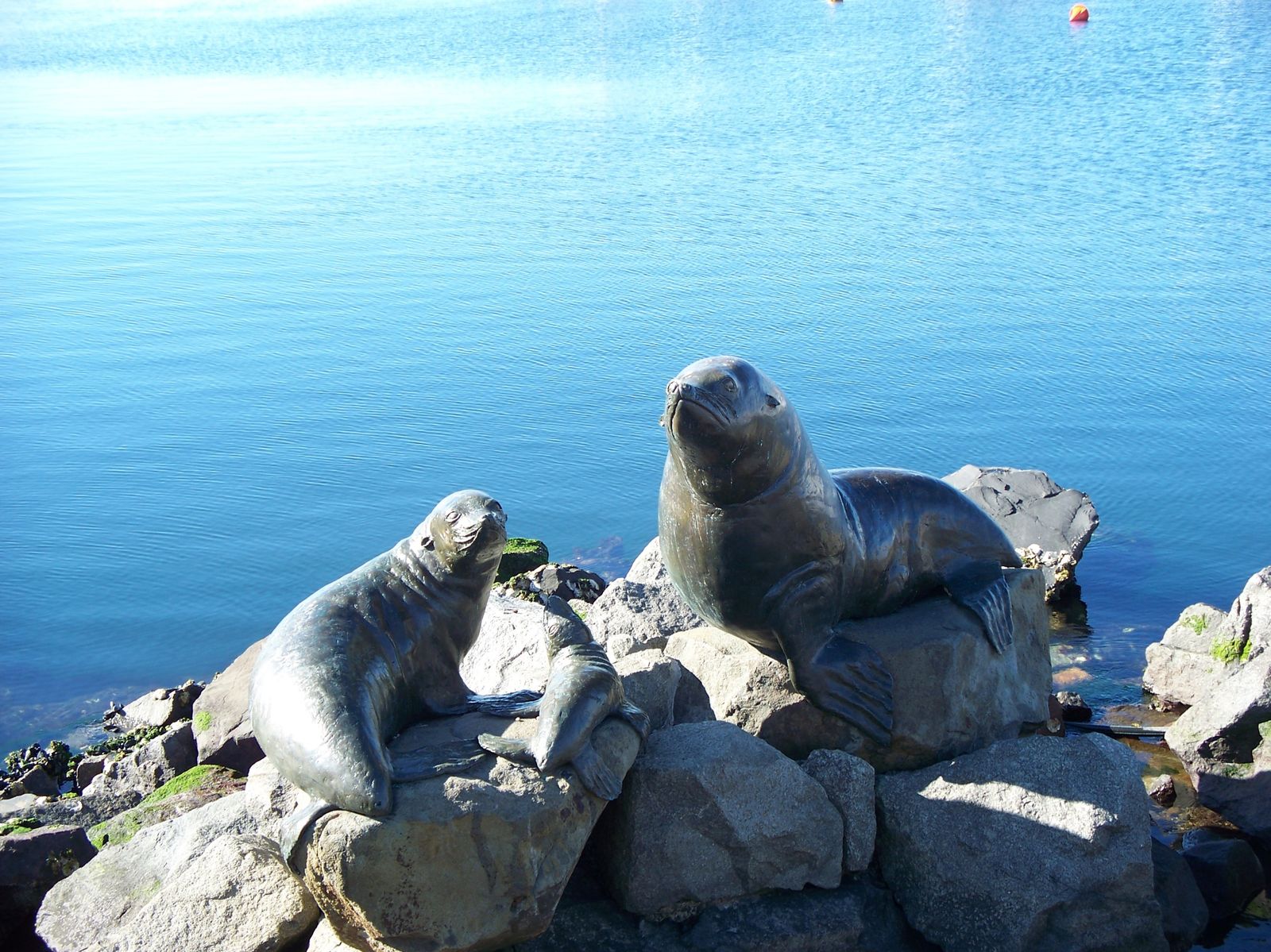 Statue de phoques, au-dessus du port