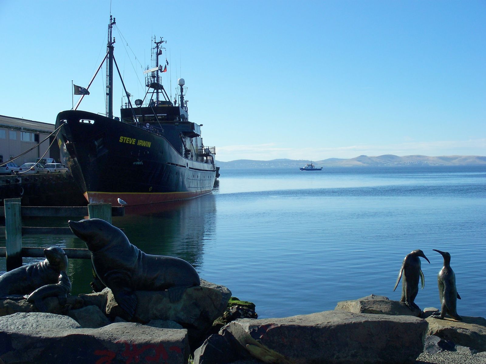 Le Sea Shepherd et la baie