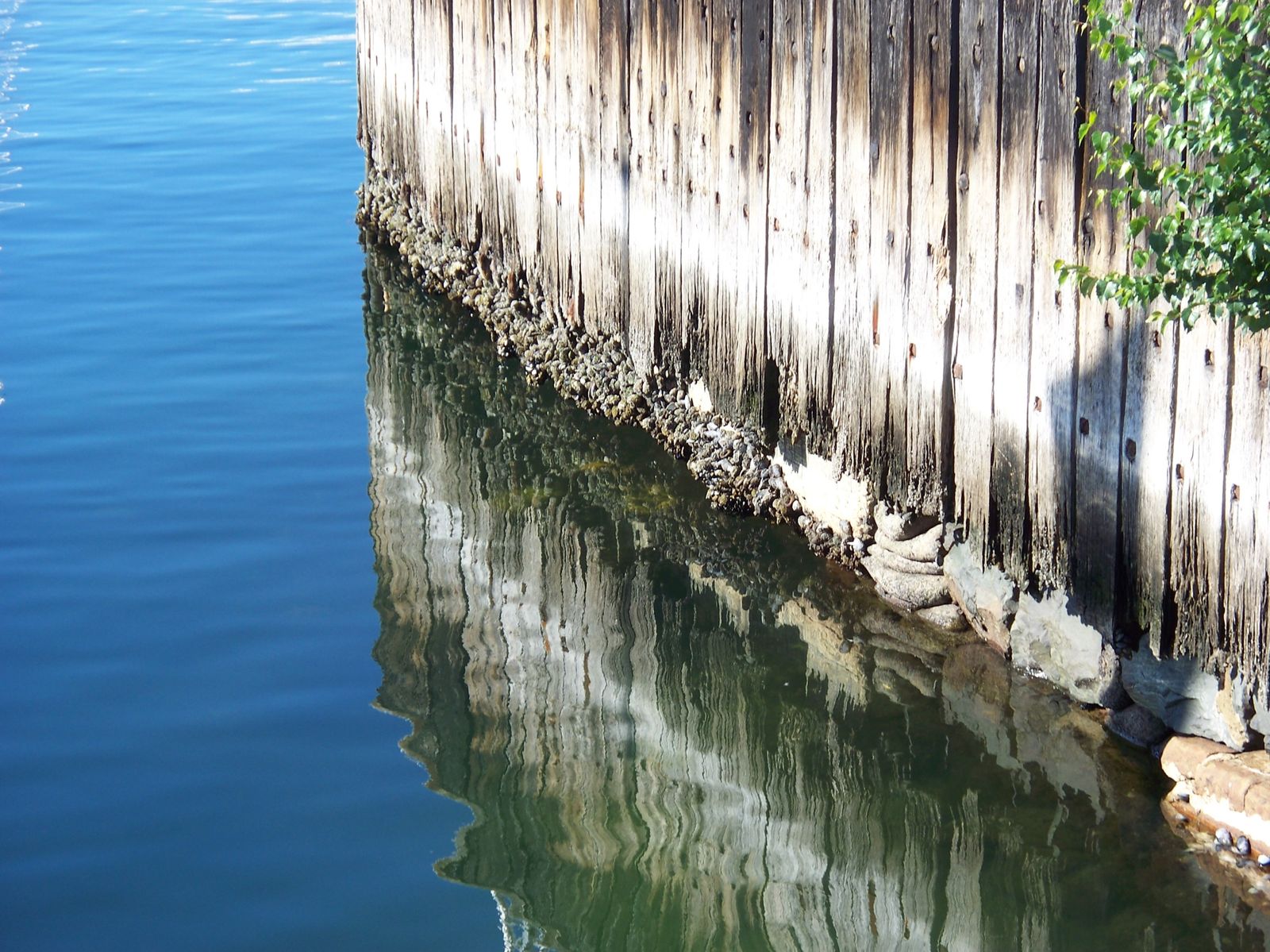 Reflet...