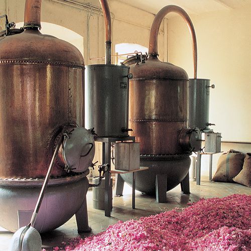 Article-Distillation