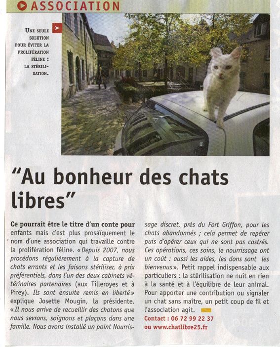 chat besancon