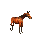 cheval (3)
