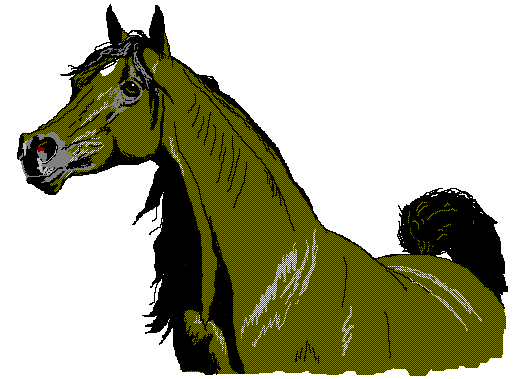cheval03