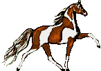 cheval04