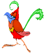 oiseau tropical craneur