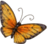 papillon (16)