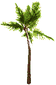 arbre (21)