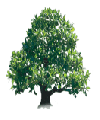 arbre (23)