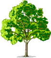 arbre (60)