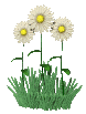 fleur (8)