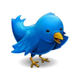 Oiseau bleu stylisé symbole de Twitter